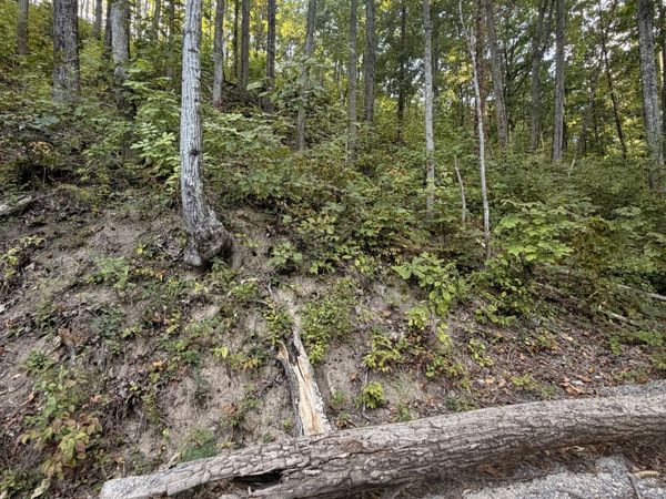 0 Whippoorwill Hill Way , Unit Lot 28, Sevierville, TN 37862