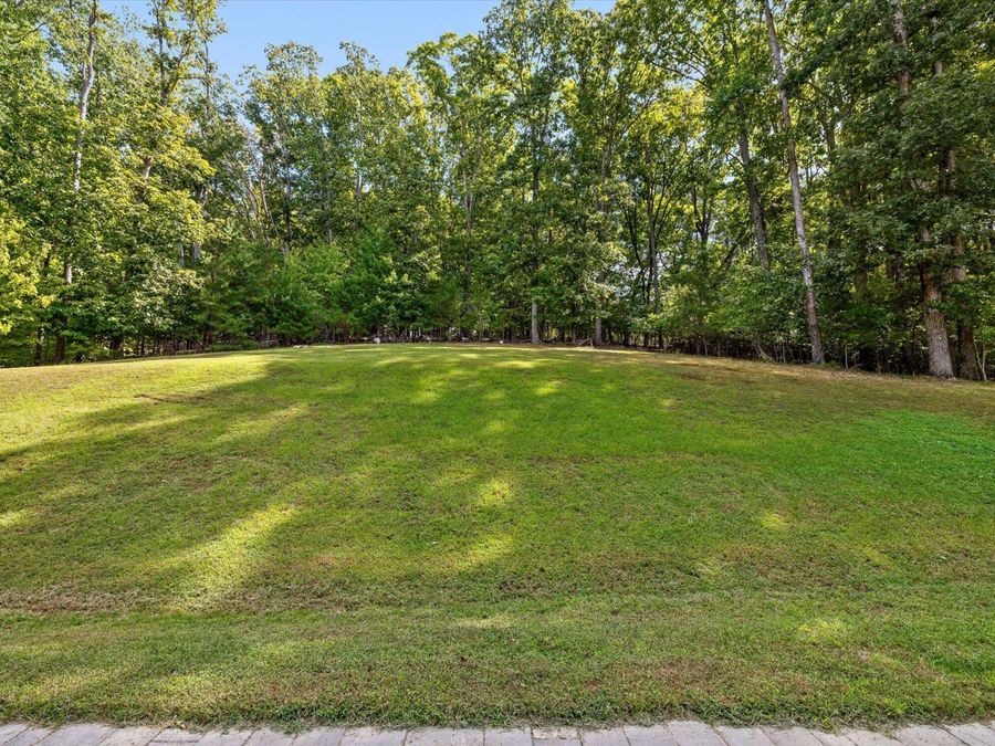 Property Image 82