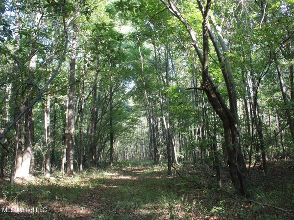 10 Star Landing Road, Nesbit, MS 38651