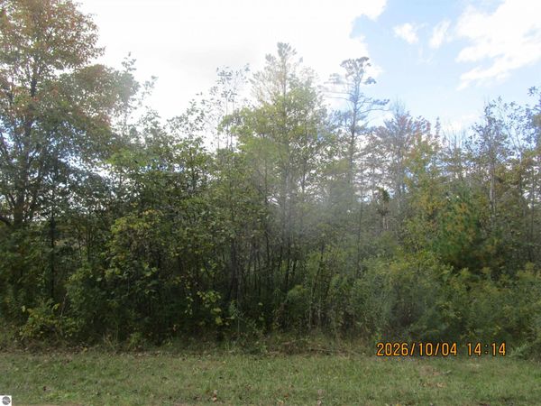 Ausable Point Road, East Tawas, MI 48730