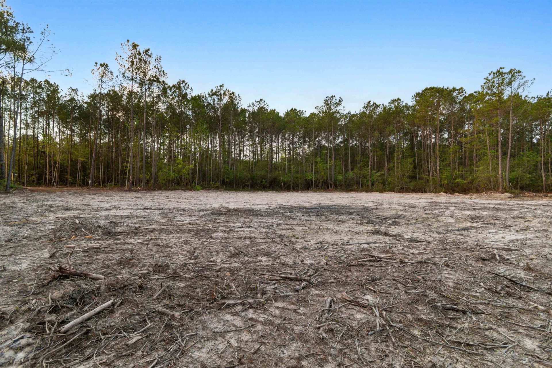 835 Indian Hut Rd.  Photo 10