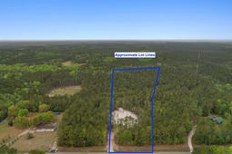 835 Indian Hut Rd.  photo 4