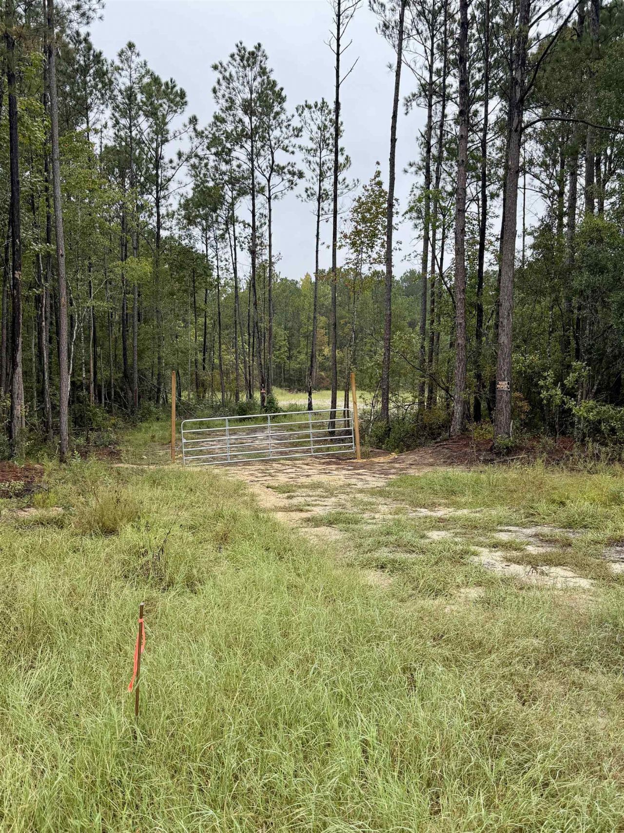 835 Indian Hut Rd.  Photo 9