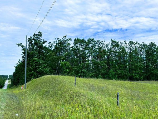 Pyke School Road, Gaylord, MI 49735