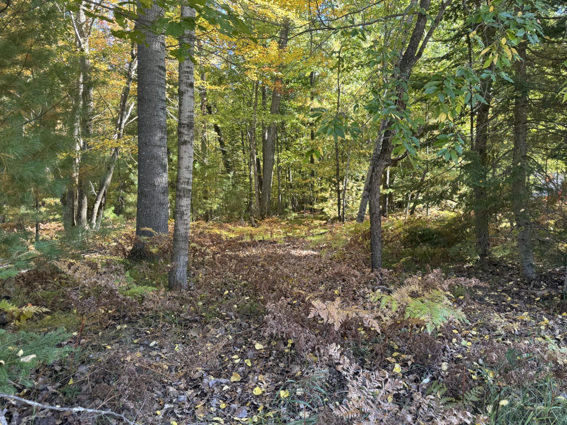 1601 Lake James Drive, Prudenville, MI 48651 Main Photo