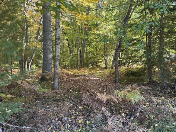 1601 Lake James Drive, Prudenville, MI 48651