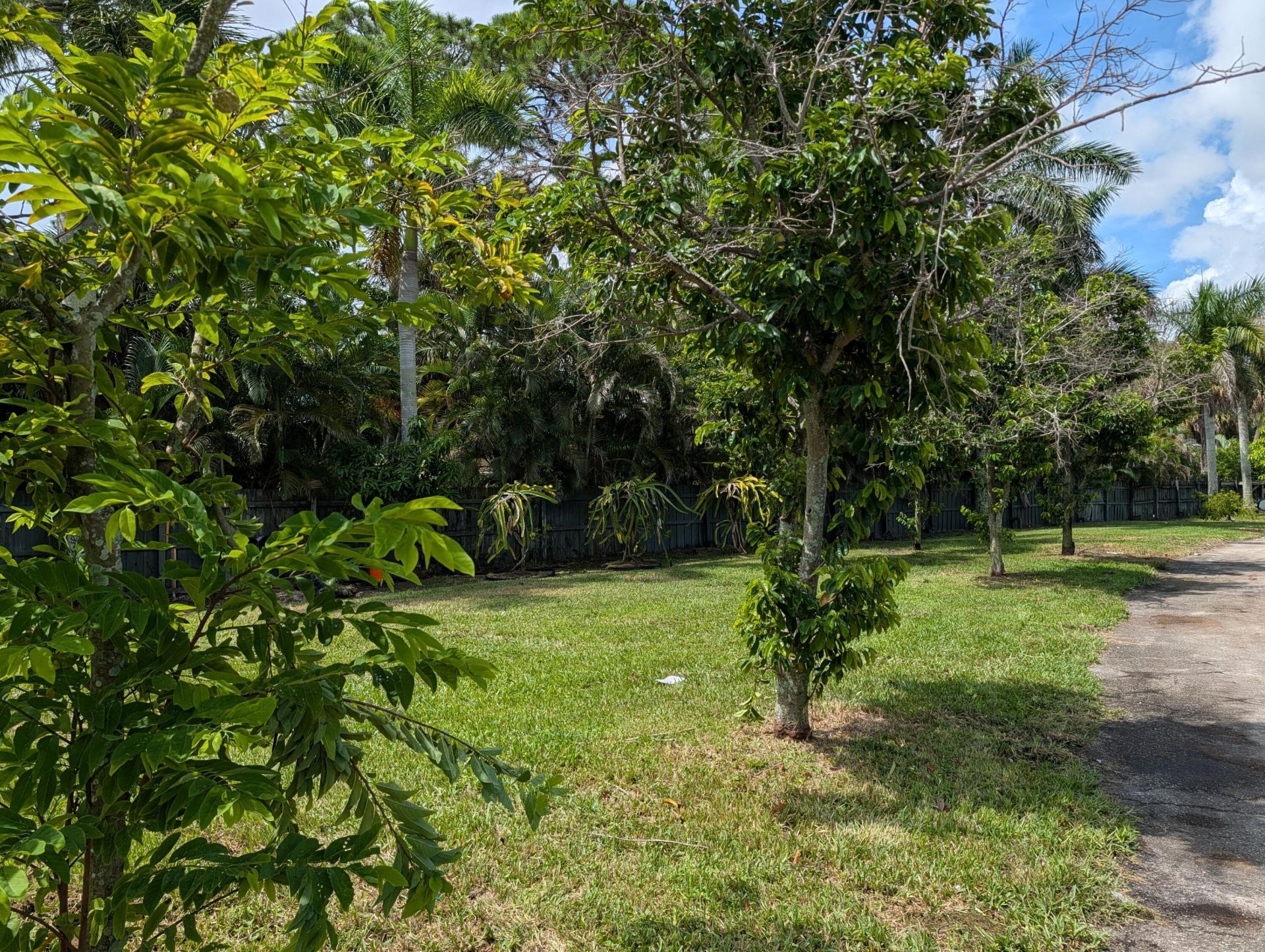 1215 N Haverhill Road, Haverhill, FL 33417 Photo