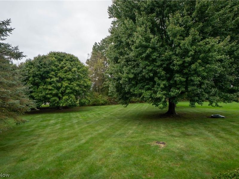 8019 Blendwood Avenue NE, Canton, OH 44721 Photo 40