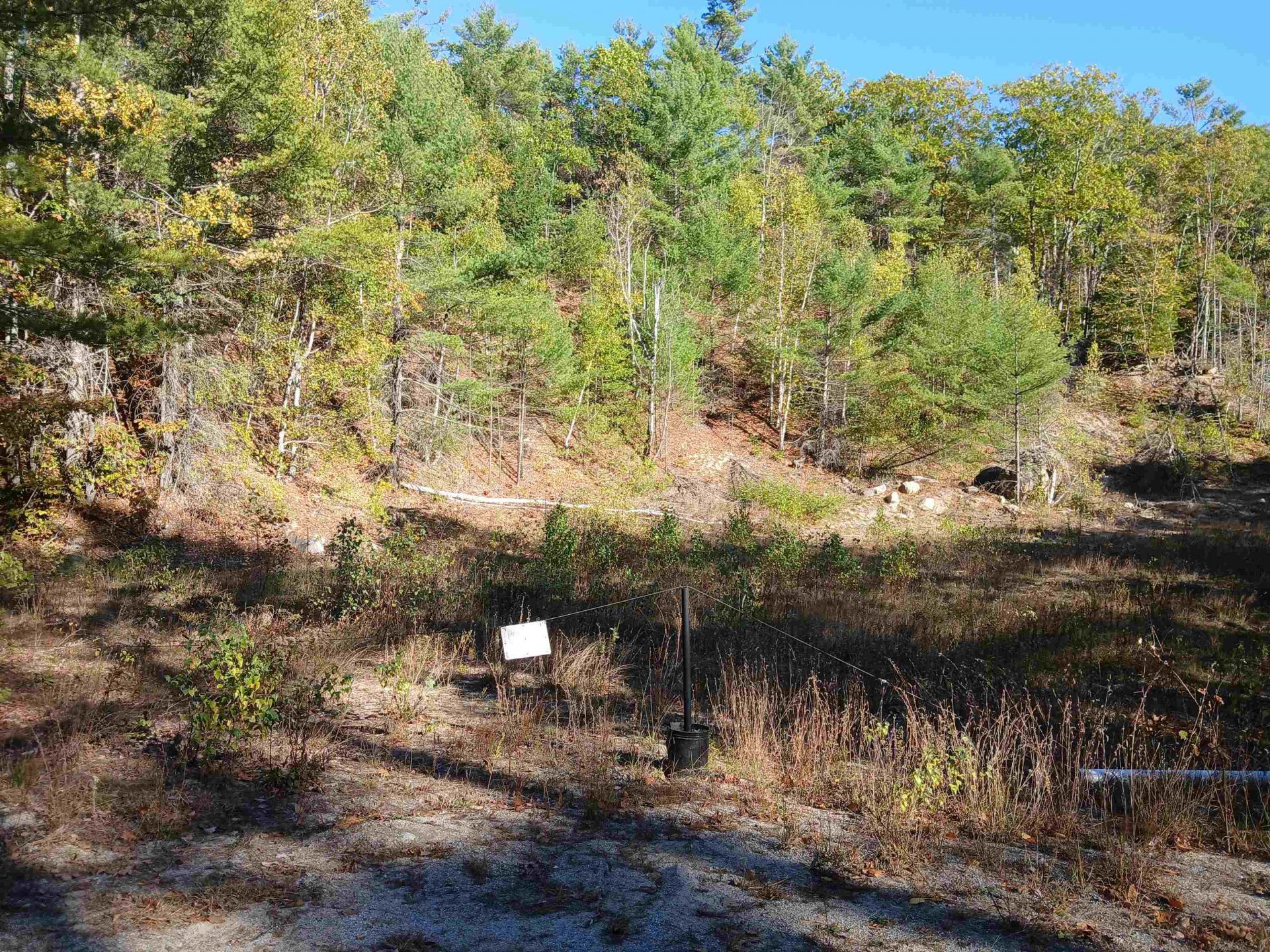 Lot 34 Kings Highway, New Durham, NH 03855 Main Photo