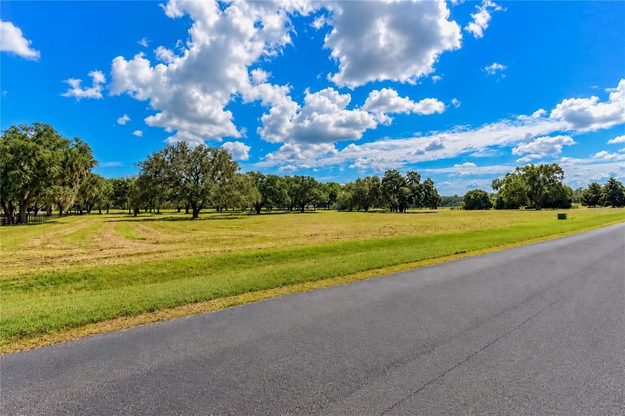 Tbd SW 104 Street Road , Ocala, FL 34476 Photo