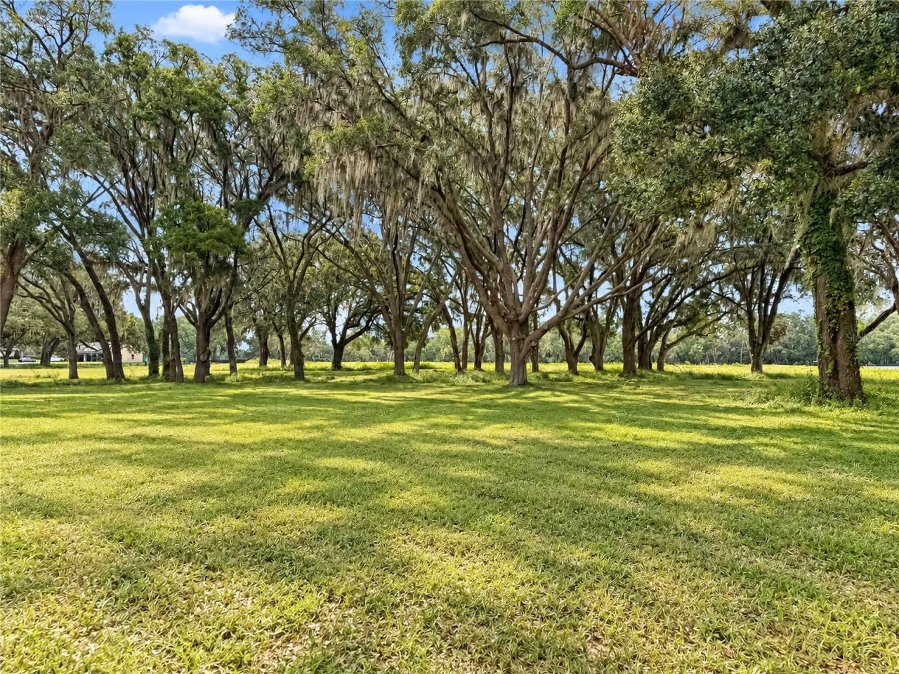 Tbd SW 104 Street Road , Ocala, FL 34476 Photo