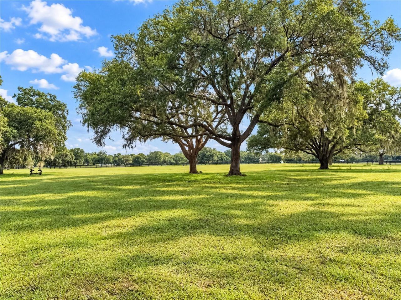 Tbd SW 104 Street Road , Ocala, FL 34476 Photo