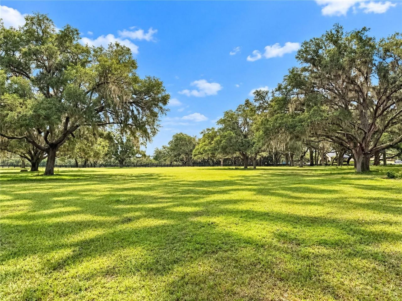 Tbd SW 104 Street Road , Ocala, FL 34476 Photo