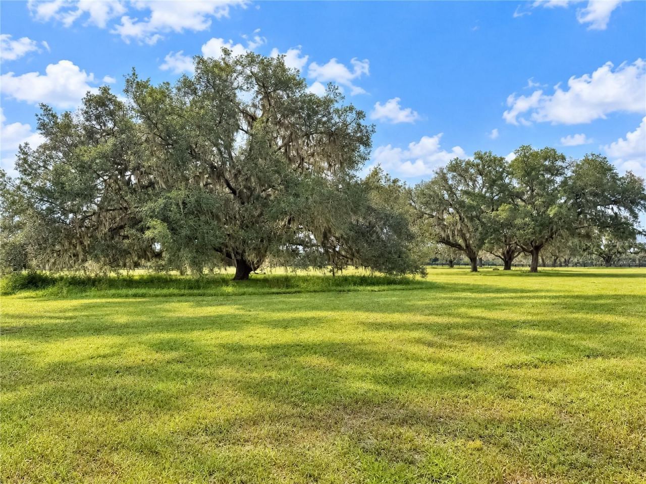 Tbd SW 104 Street Road , Ocala, FL 34476 Photo