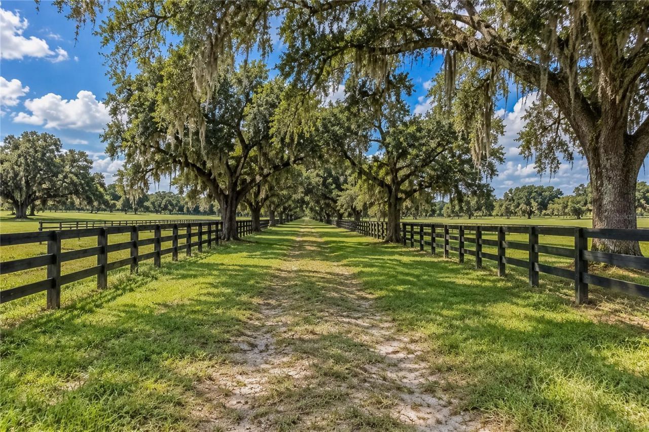 Tbd SW 104 Street Road , Ocala, FL 34476 Photo