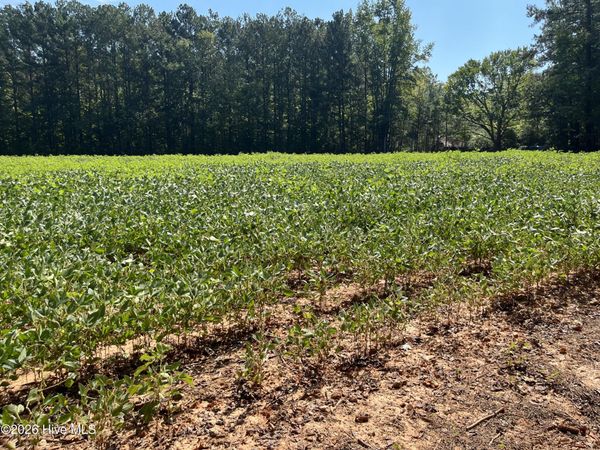 9011 Pleasant Grove Church Road , Spring Hope, NC 27882