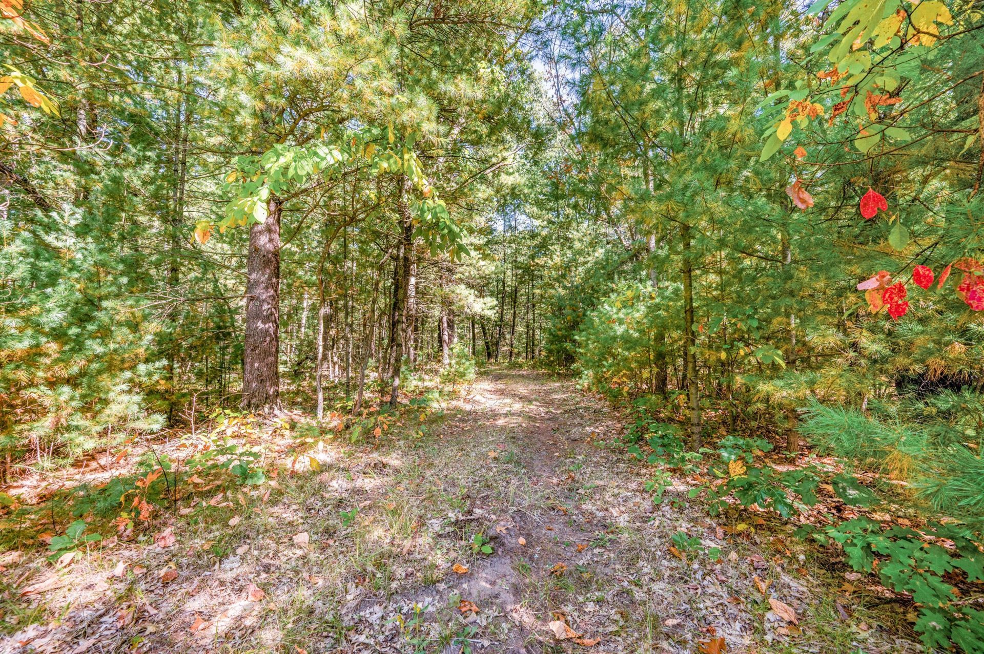 V/l 40 A S Locust Avenue, White Cloud, MI 49349 Main Photo