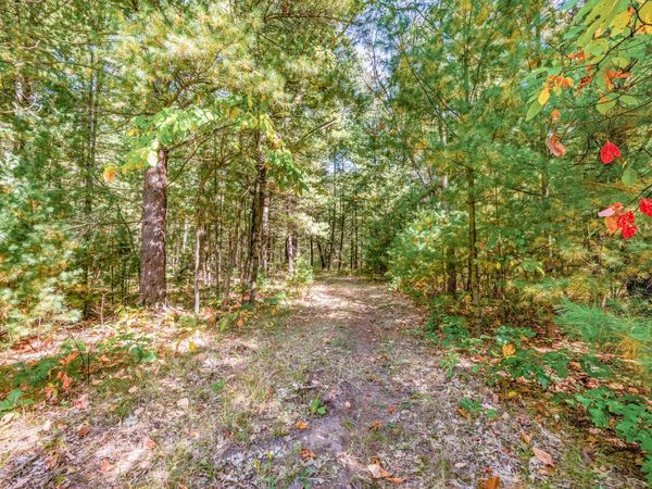 V/L 40 A S Locust Avenue, White Cloud, MI 49349