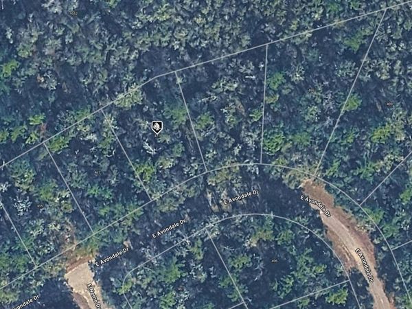 471 E AVONDALE DRIVE , CITRUS SPRINGS, FL 34434