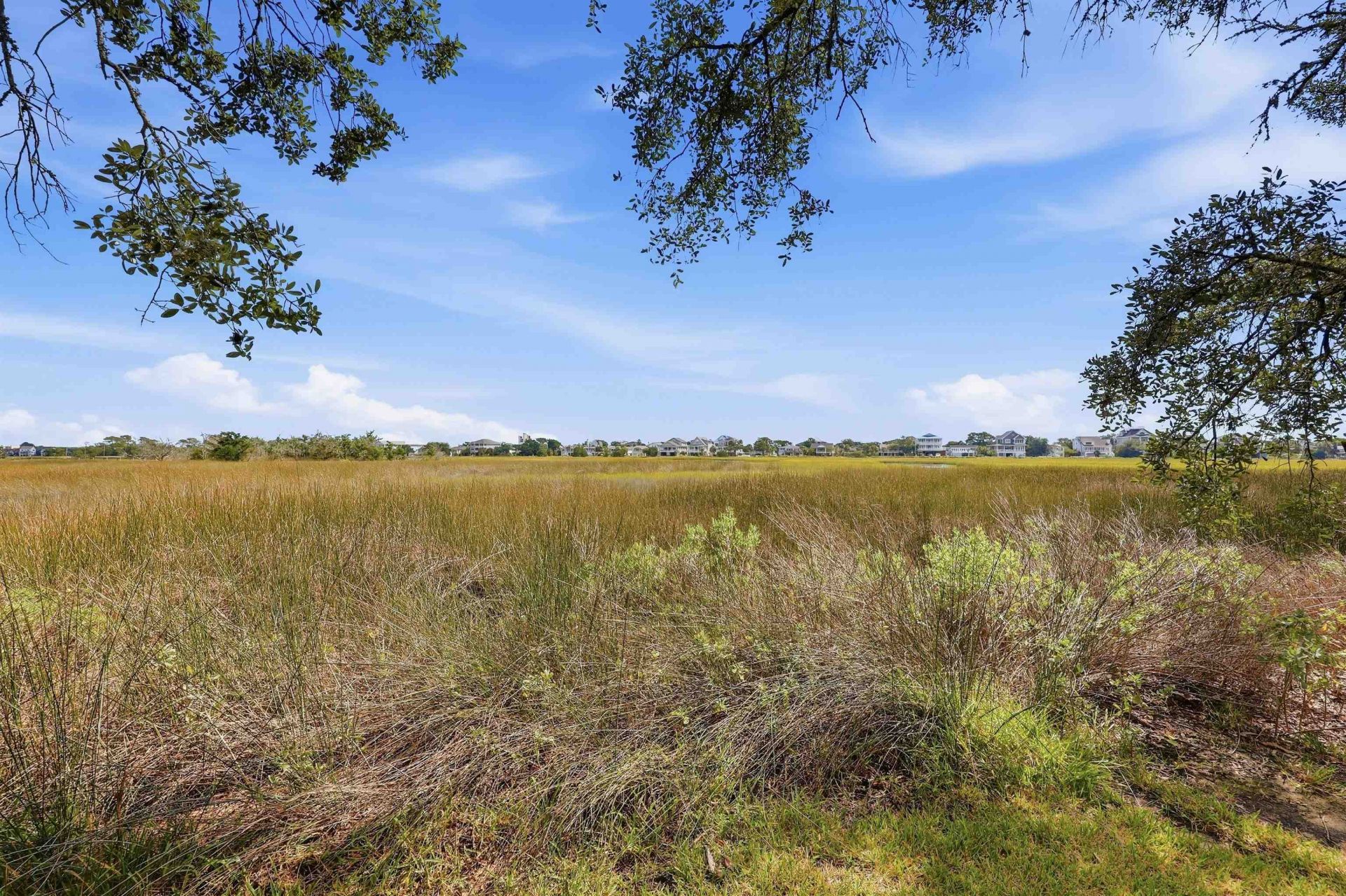 256 Salt Marsh Circle Photo 53