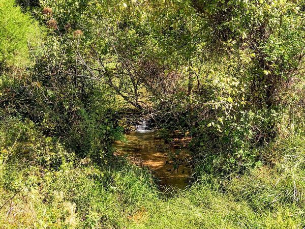 TBD Justice Road, Afton, TN 37616