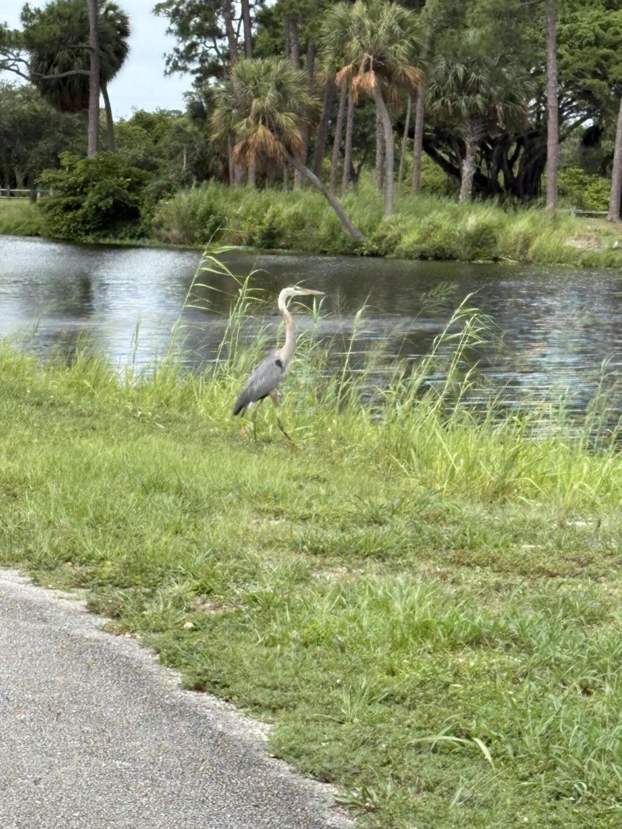 2960 Cynthia Lane, Unit 202, Lake Worth Beach, FL 33461 Photo