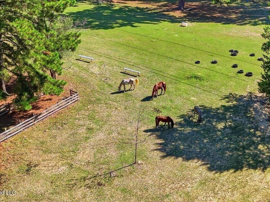 Property Image 104