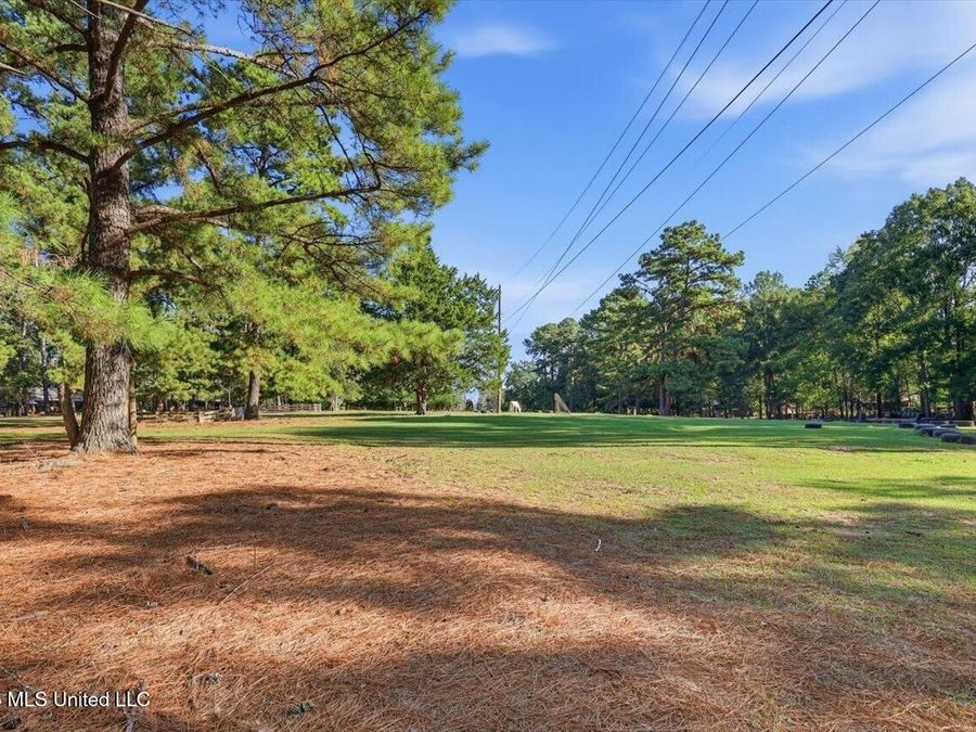 Property Image 73