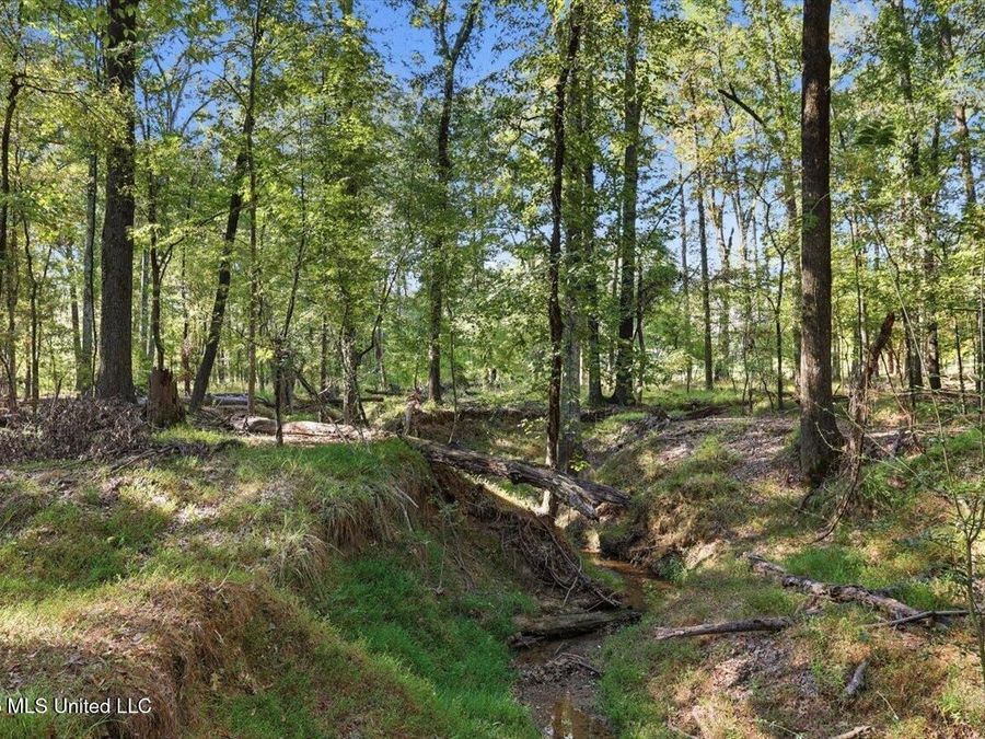 Property Image 90