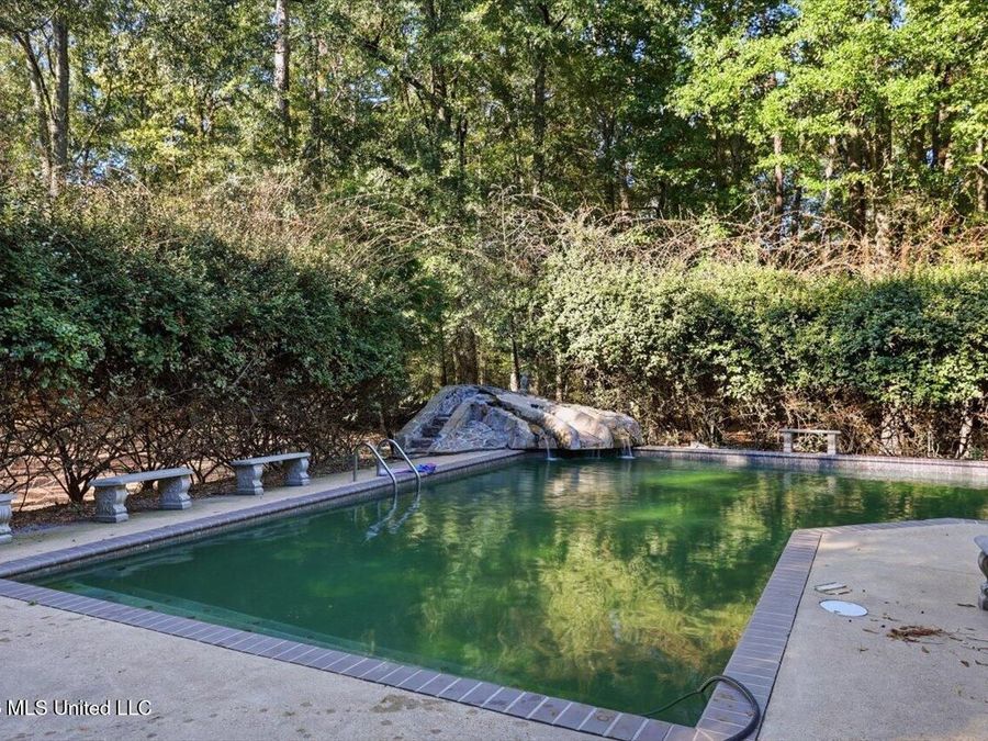 Property Image 93