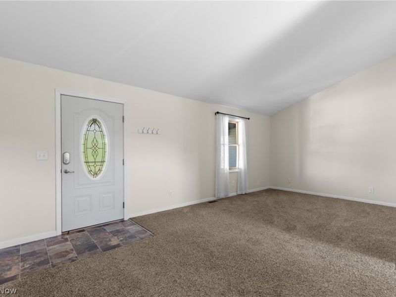 73881 Colerain Mt Pleasant Road, Dillonvale, OH 43912 Photo 32