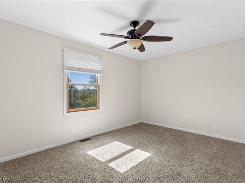 73881 Colerain Mt Pleasant Road, Dillonvale, OH 43912 Photo 38