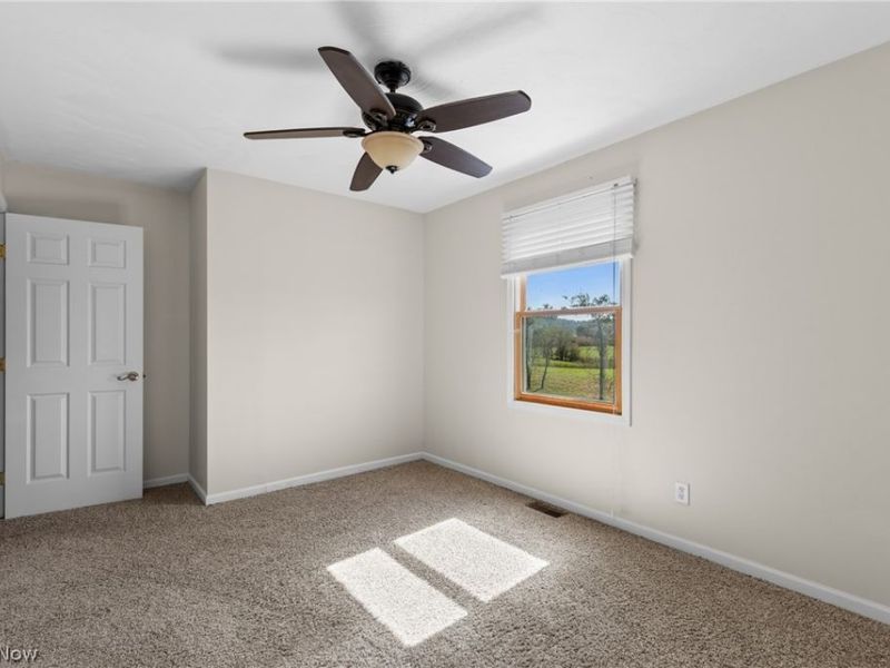 73881 Colerain Mt Pleasant Road, Dillonvale, OH 43912 Photo 39