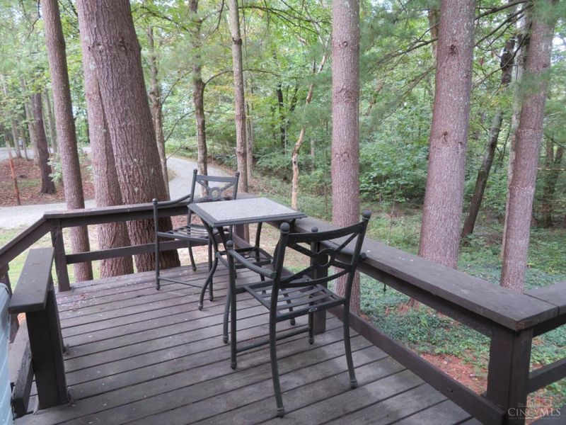 6051 Blue Ribbon Road, Hillsboro, OH 45133 Photo 25