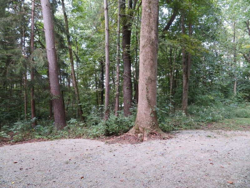 6051 Blue Ribbon Road, Hillsboro, OH 45133 Photo 32