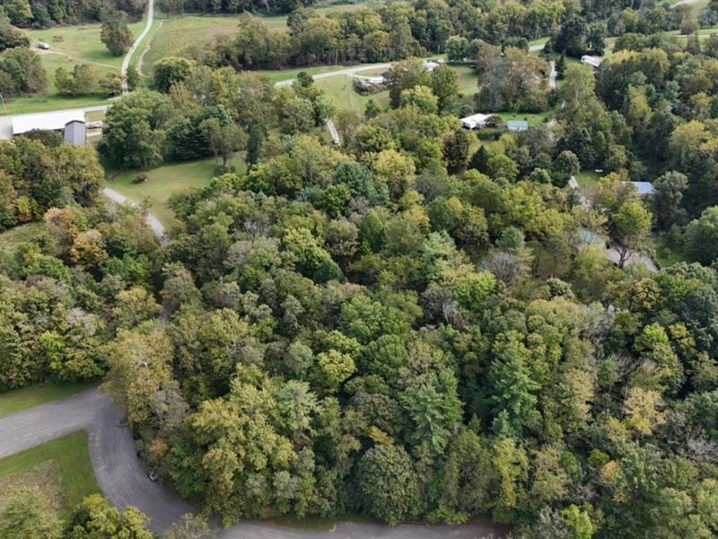 6051 Blue Ribbon Road, Hillsboro, OH 45133 Photo 41