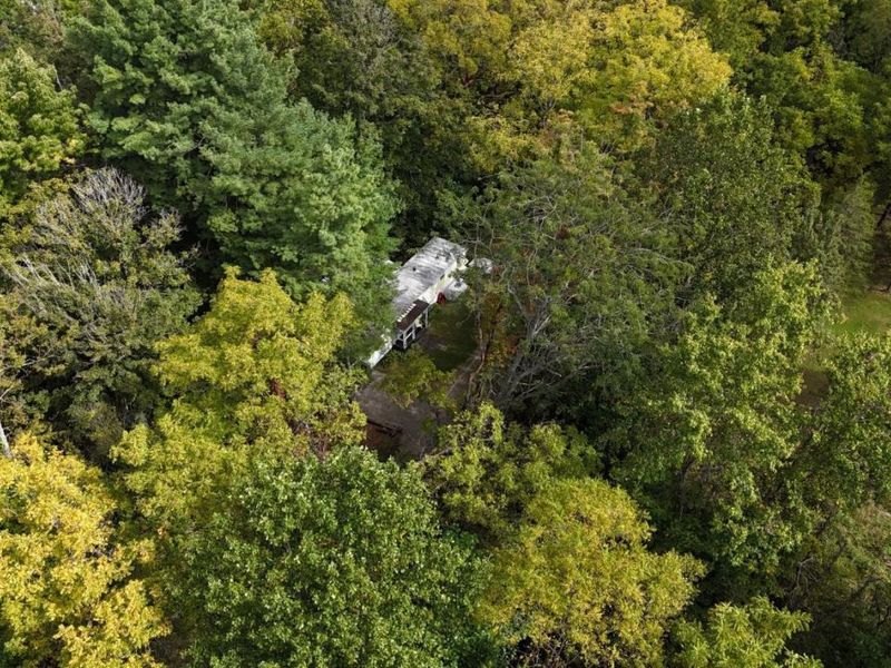 6051 Blue Ribbon Road, Hillsboro, OH 45133 Photo 43