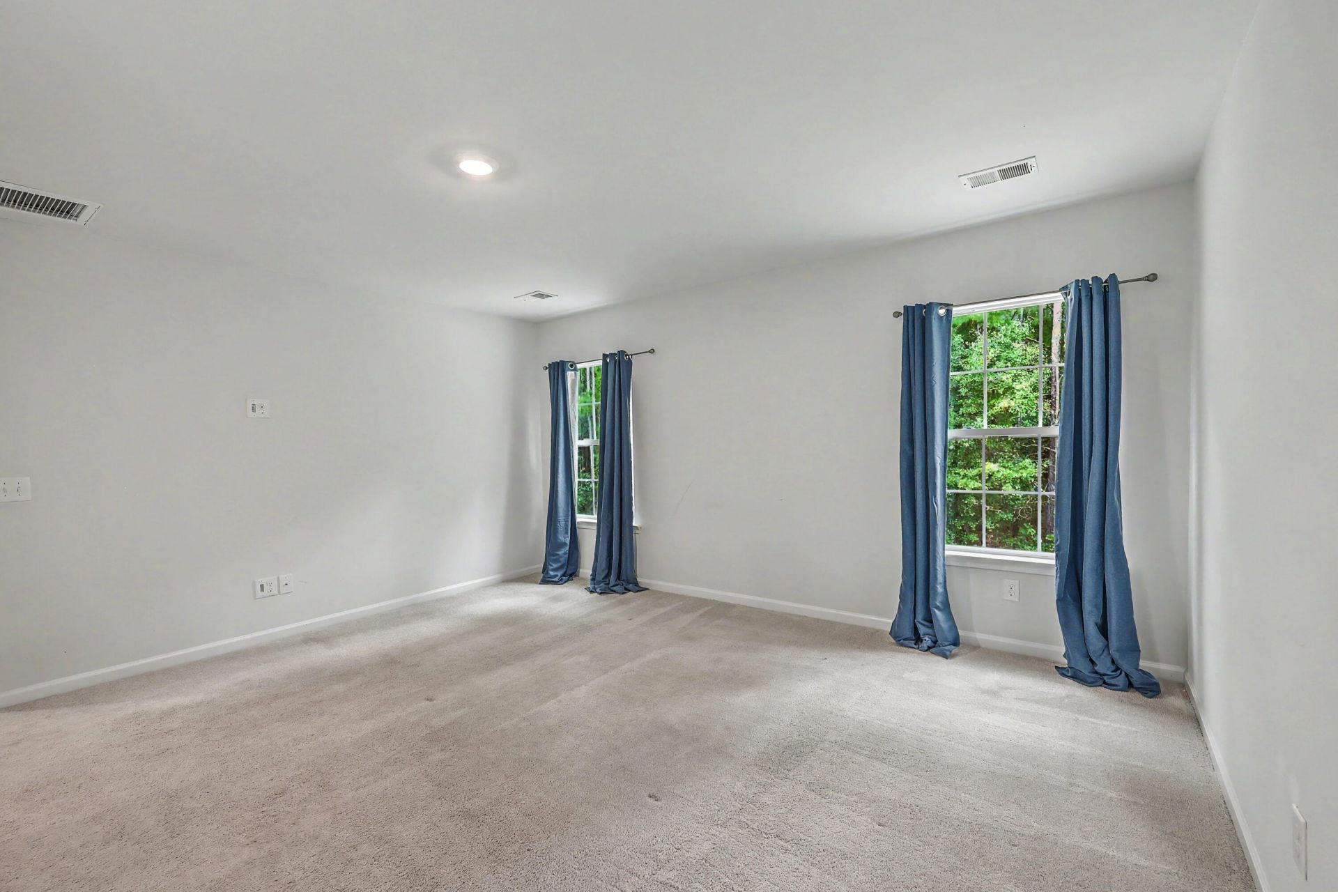 178 Daniels Creek Circle Photo 19