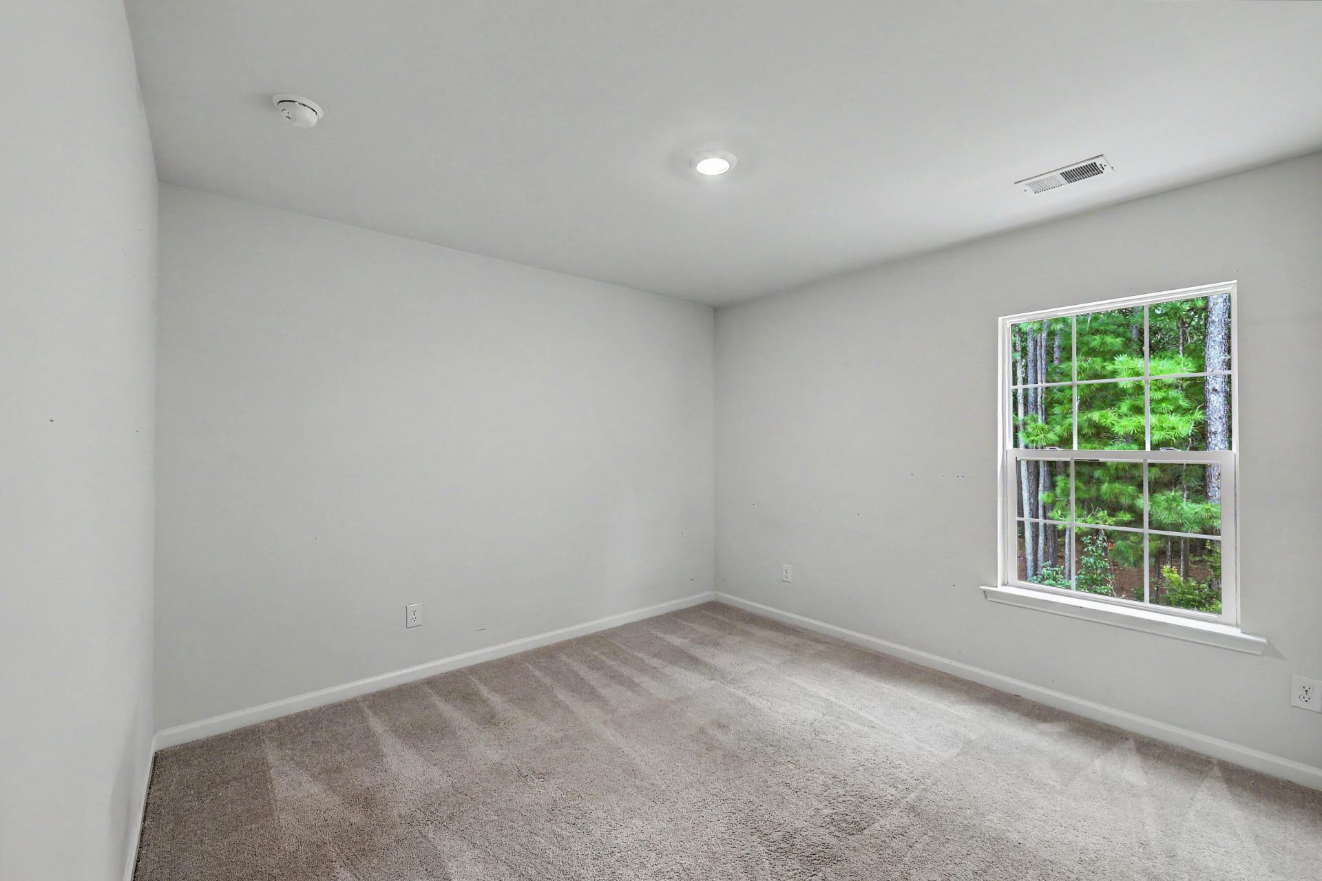 178 Daniels Creek Circle Photo 24