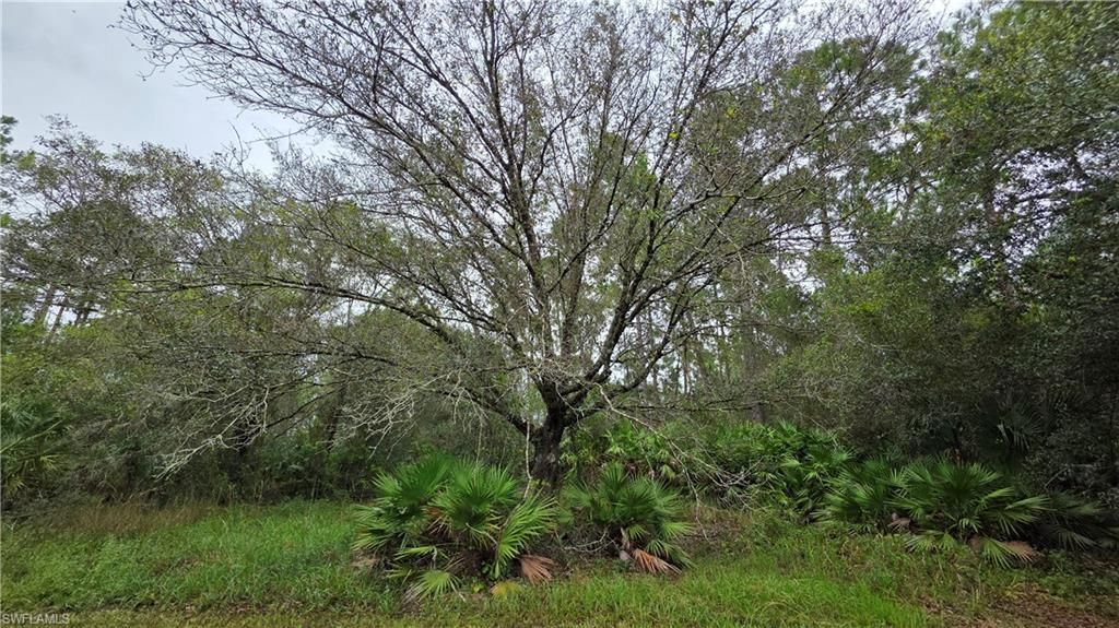 211 J4 Ranch Rd , Labelle, FL 33935 Photo