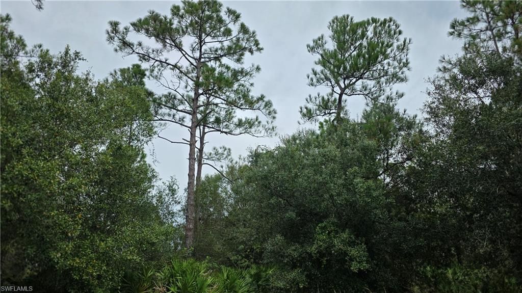 211 J4 Ranch Rd , Labelle, FL 33935 Photo