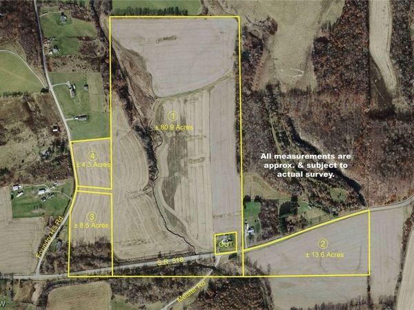 Foundry Hill Road , Hanoverton, OH 44423