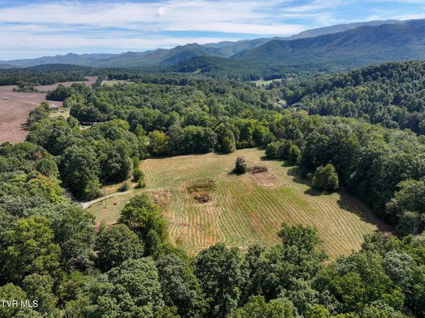250 Bill Martin Road, Afton, TN 37616