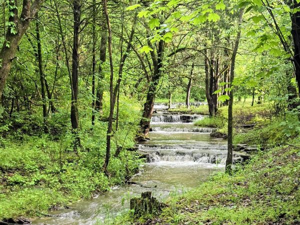 2 Newman Rd , Rockvale, TN 37153