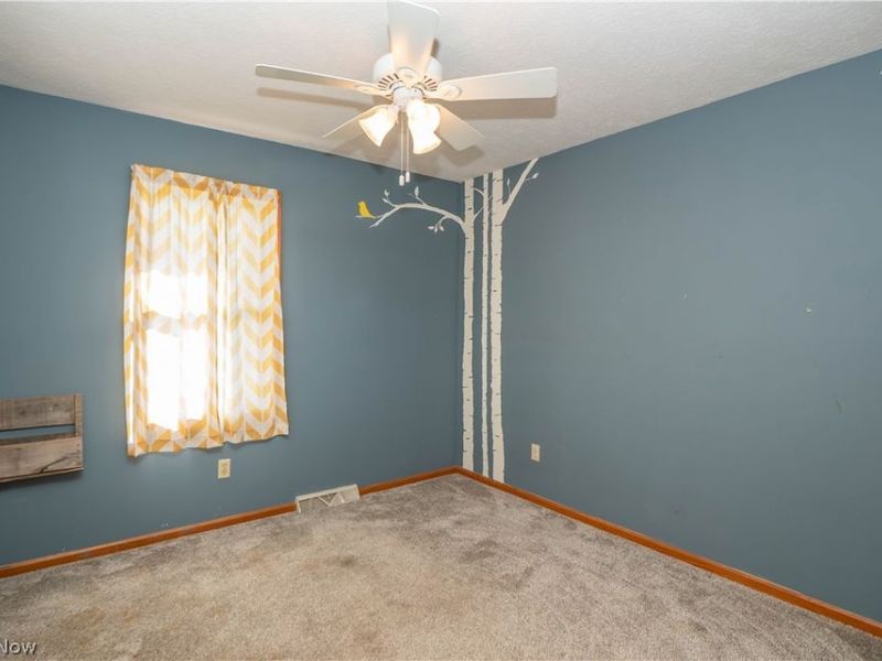 498 Herbert Road, Akron, OH 44312 Photo 37