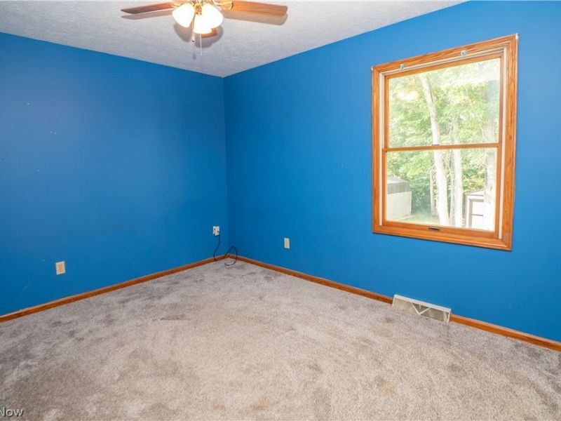 498 Herbert Road, Akron, OH 44312 Photo 39