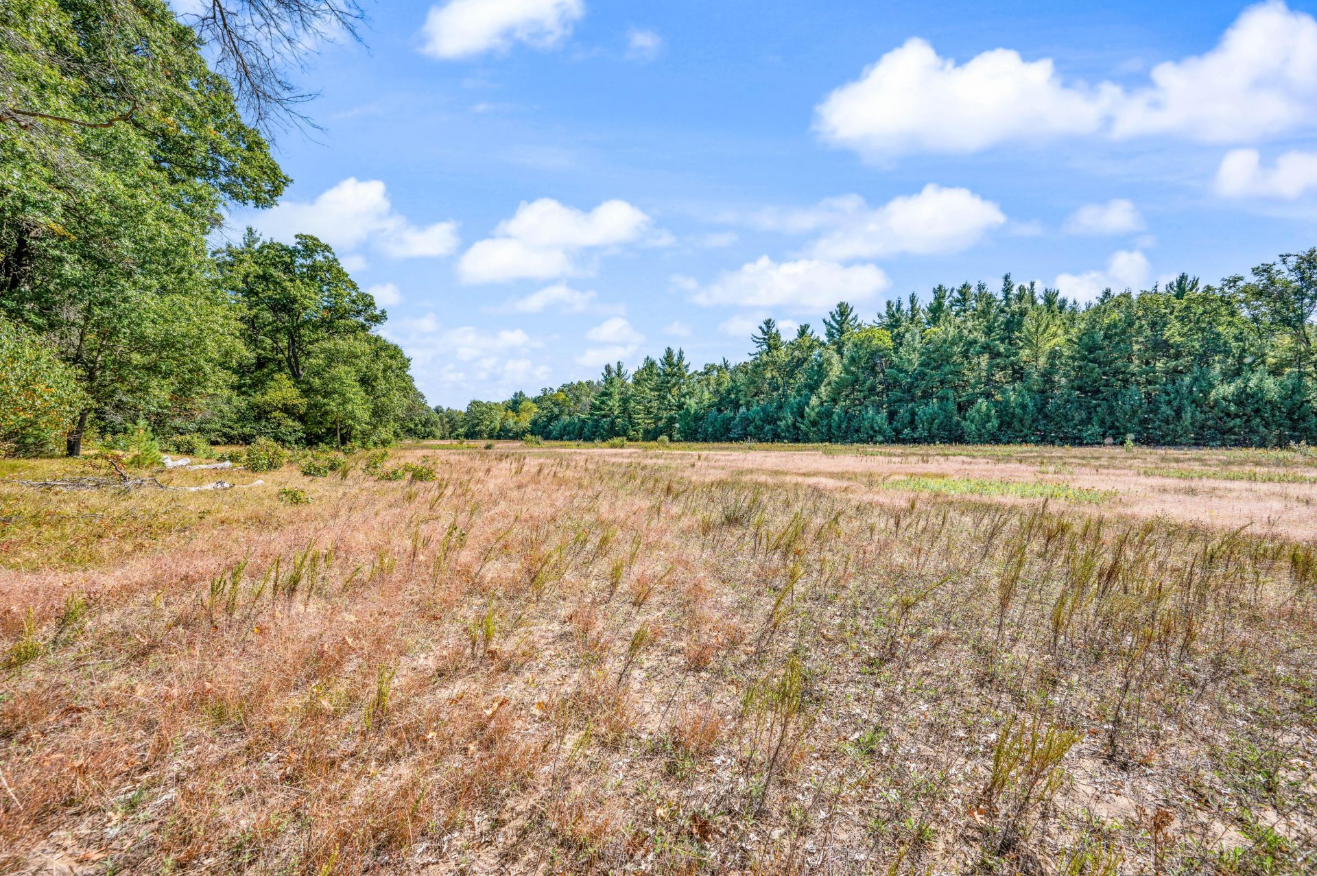 V/l 57 A S Locust Avenue, White Cloud, MI 49349 Main Photo