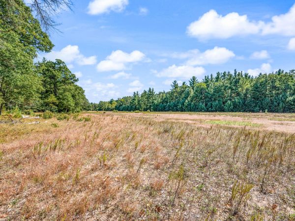 V/L 57 A S Locust Avenue, White Cloud, MI 49349