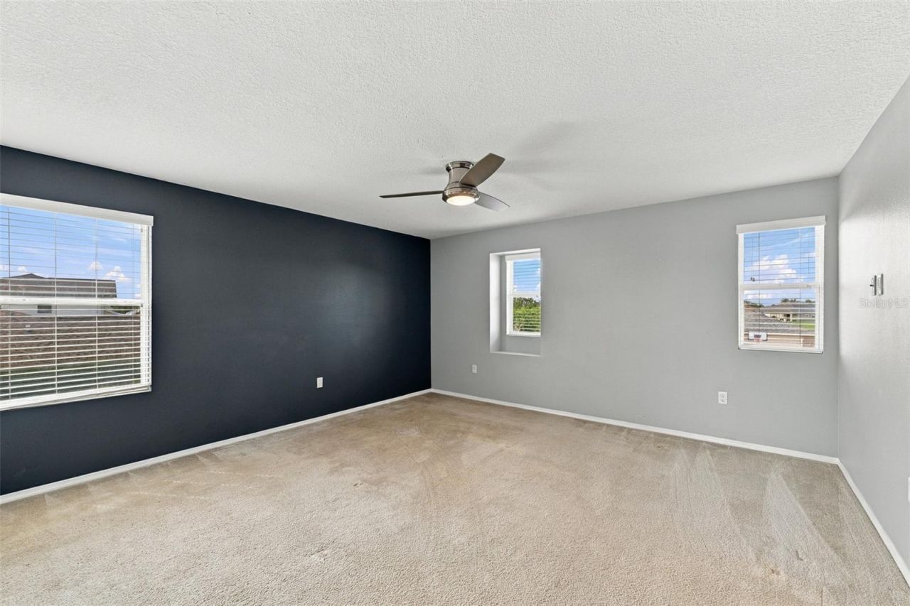5213 Butterfly Shell Drive , Apollo Beach, FL 33572 Photo