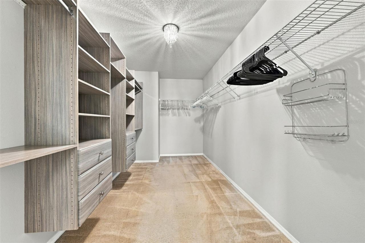 5213 Butterfly Shell Drive , Apollo Beach, FL 33572 Photo